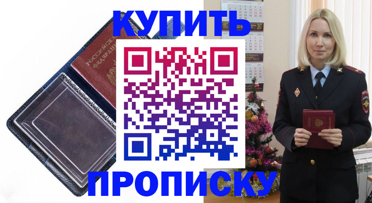 прописка поиск в Камышине